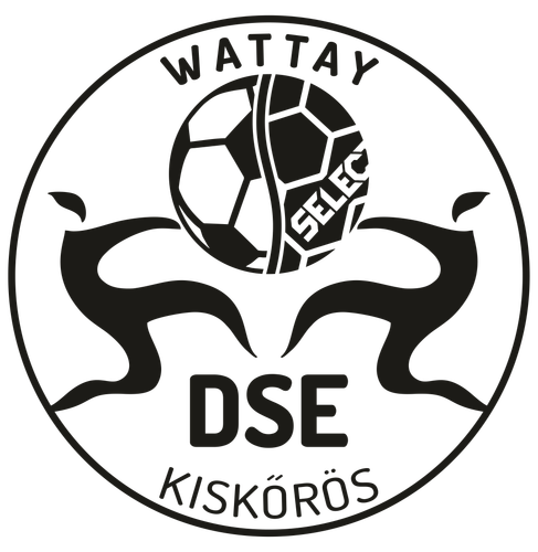Wattay DSE közgyűlés